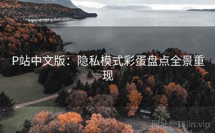 P站中文版：隐私模式彩蛋盘点全景重现  第2张