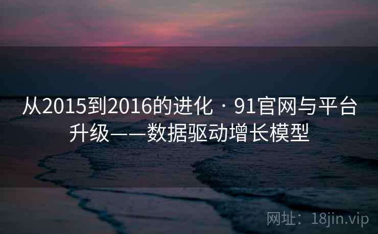 从2015到2016的进化 · 91官网与平台升级——数据驱动增长模型