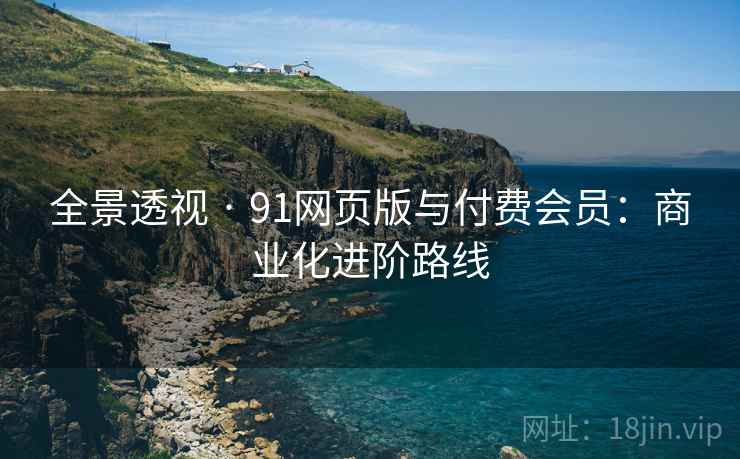 全景透视 · 91网页版与付费会员：商业化进阶路线  第2张
