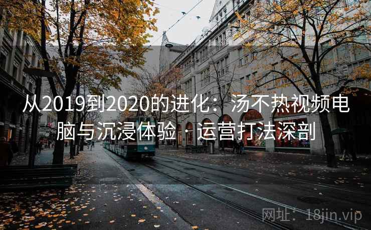 从2019到2020的进化：汤不热视频电脑与沉浸体验 · 运营打法深剖