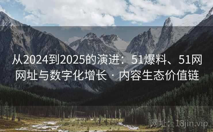 从2024到2025的演进：51爆料、51网网址与数字化增长 · 内容生态价值链  第1张