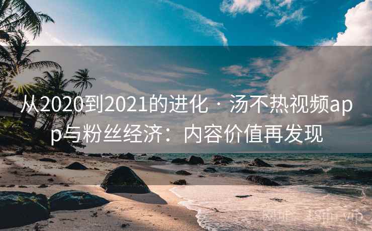 从2020到2021的进化 · 汤不热视频app与粉丝经济：内容价值再发现  第2张