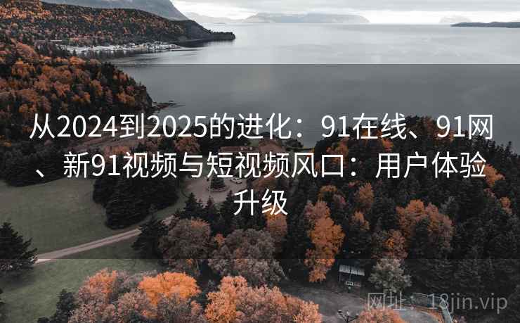 从2024到2025的进化：91在线、91网、新91视频与短视频风口：用户体验升级  第1张
