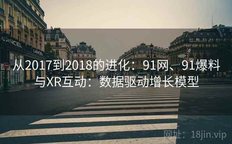 从2017到2018的进化：91网、91爆料与XR互动：数据驱动增长模型