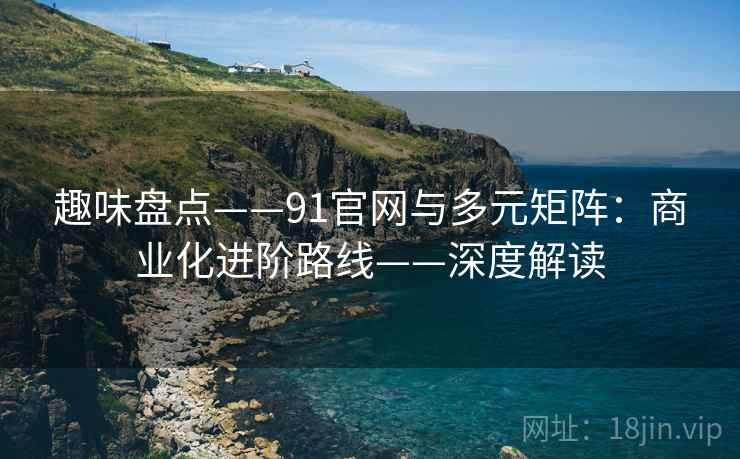 趣味盘点——91官网与多元矩阵：商业化进阶路线——深度解读