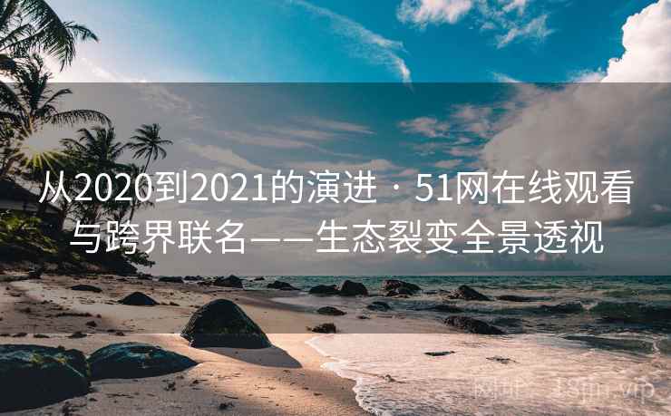 从2020到2021的演进 · 51网在线观看与跨界联名——生态裂变全景透视  第2张