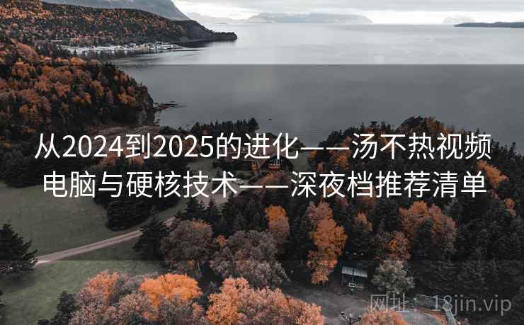 从2024到2025的进化——汤不热视频电脑与硬核技术——深夜档推荐清单  第2张