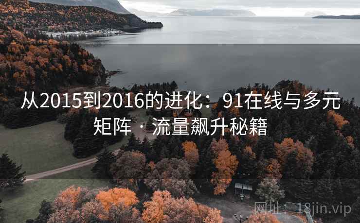 从2015到2016的进化：91在线与多元矩阵 · 流量飙升秘籍