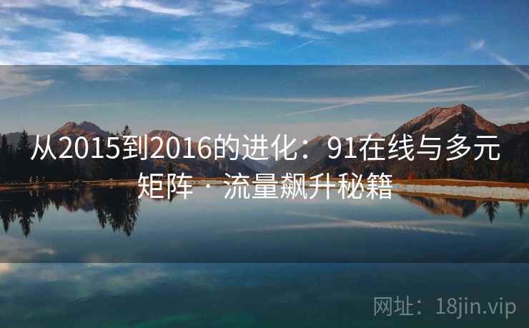 从2015到2016的进化：91在线与多元矩阵 · 流量飙升秘籍