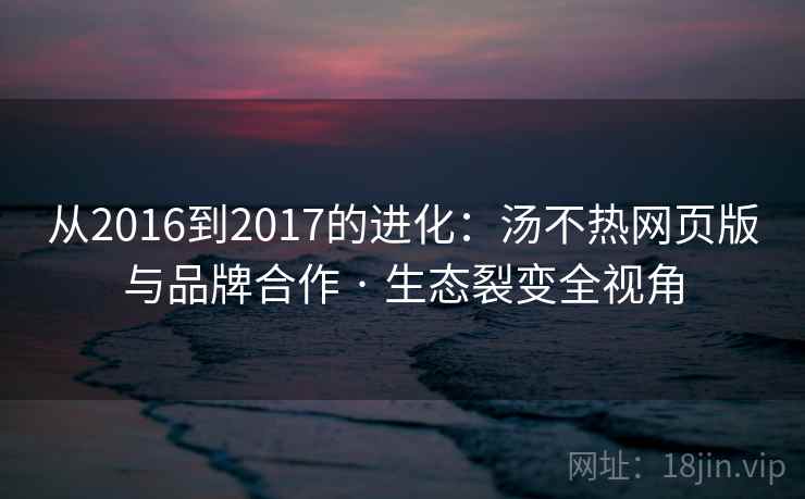 从2016到2017的进化：汤不热网页版与品牌合作 · 生态裂变全视角