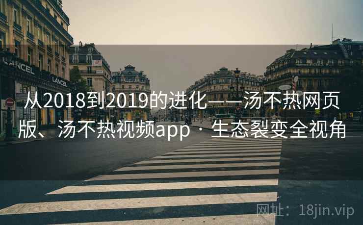 从2018到2019的进化——汤不热网页版、汤不热视频app · 生态裂变全视角  第2张