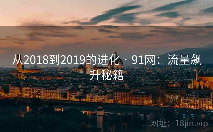 从2018到2019的进化 · 91网：流量飙升秘籍  第1张