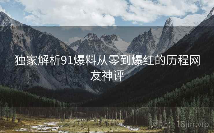 独家解析91爆料从零到爆红的历程网友神评  第2张